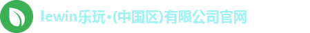乐玩国际